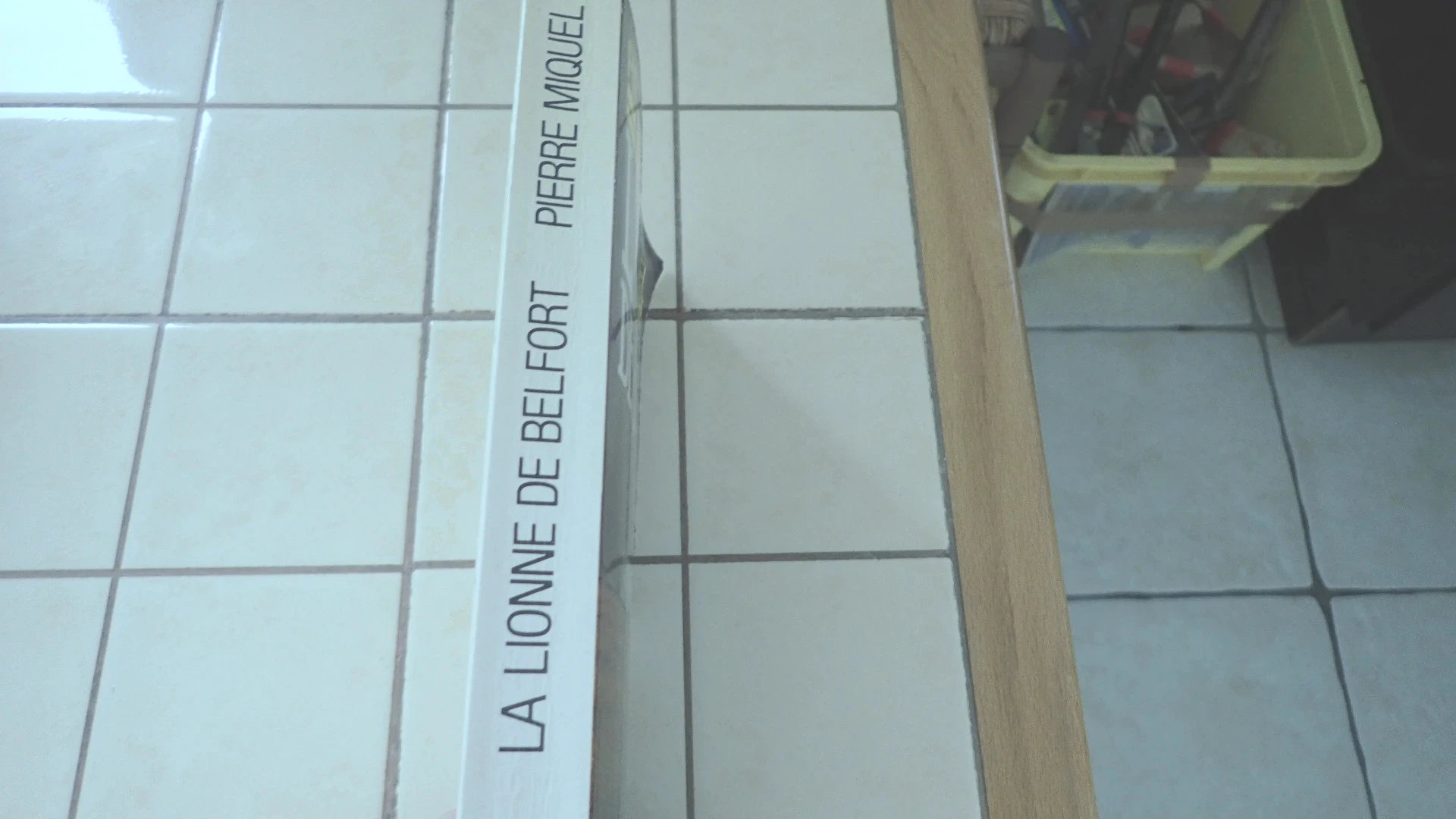 A leoa de Belfort – photo 2